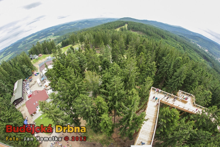 Slavnostní otevření Stezky korunami stromů