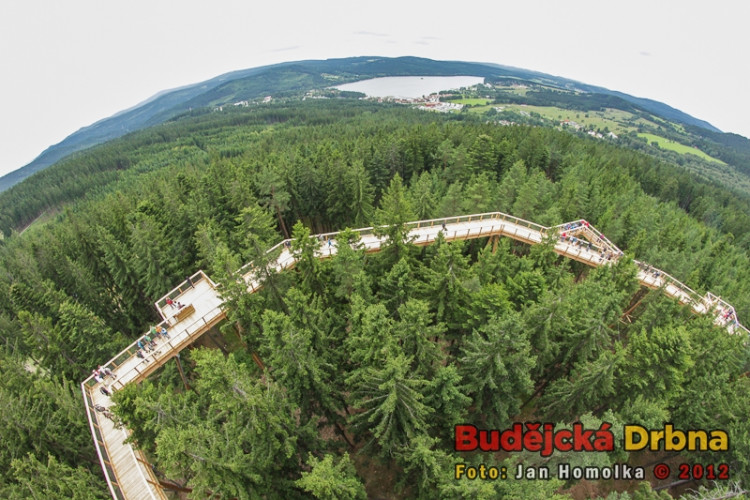 Slavnostní otevření Stezky korunami stromů