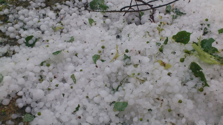 Dobčice. Foto Martin Bíca