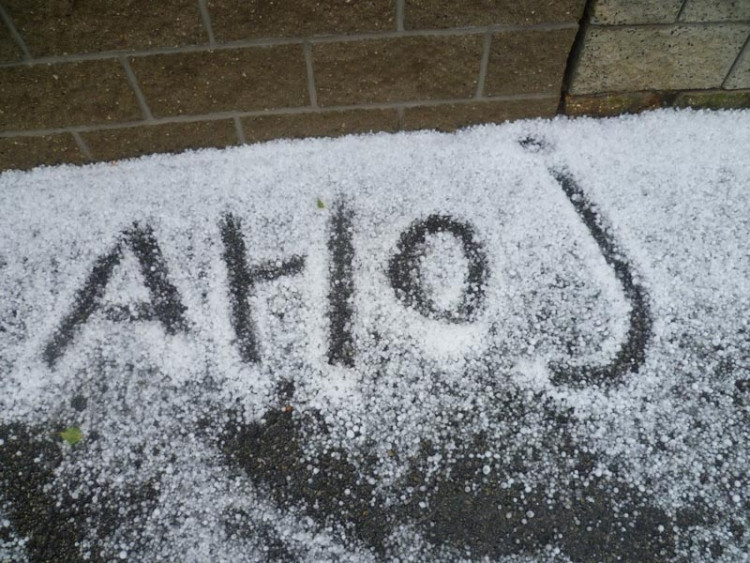 Foto Ilonka Milniková