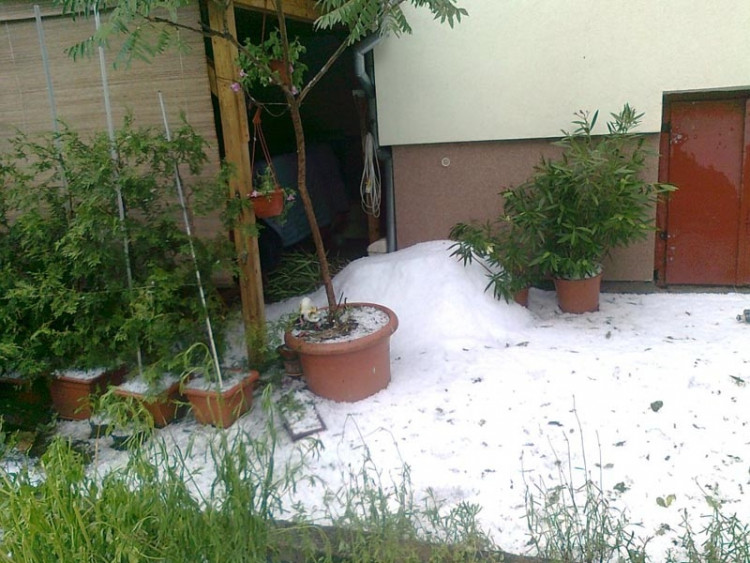 Foto Pavla Haršániová