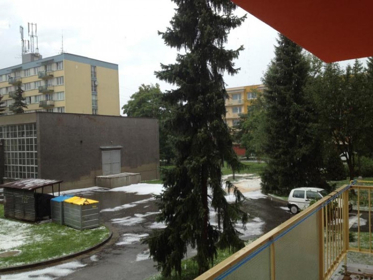 Suché Vrbné. Foto Markéta Polanská