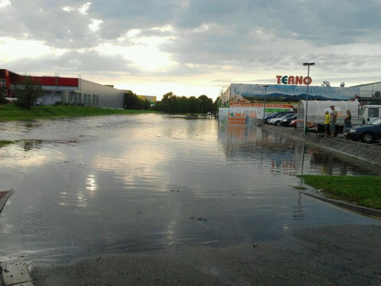 U supermarketu Terno