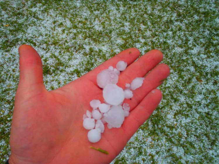 Foto Zuzana Havelková