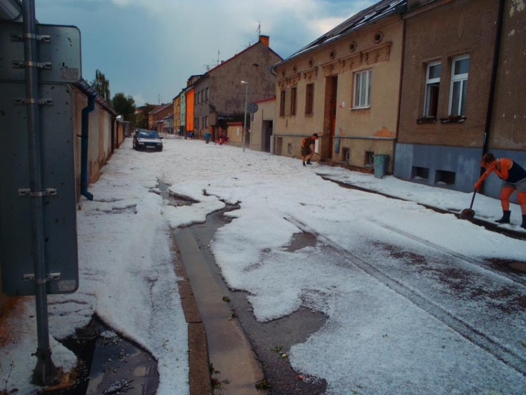 Mladé. Foto Zuzana Havelková