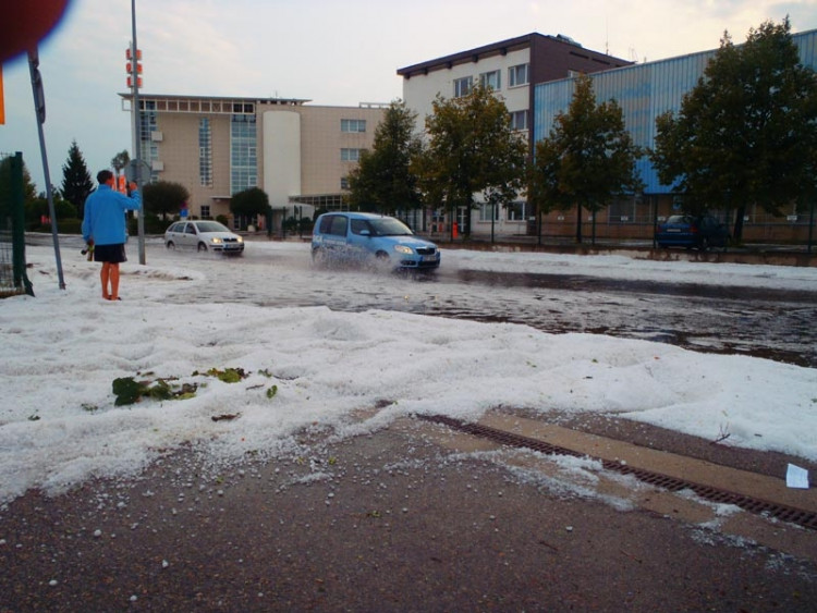 Novohradská. Foto Zuzana Havelková