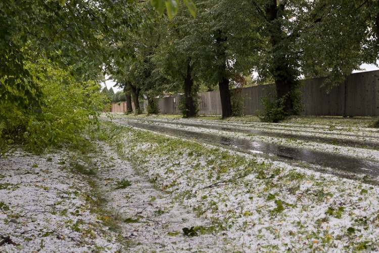 Plavská. Foto David Louženský