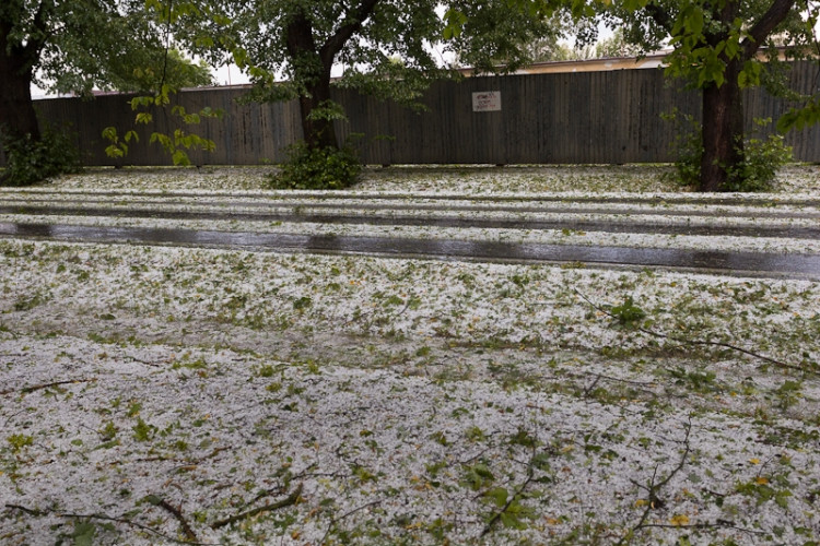 Plavská. Foto David Louženský