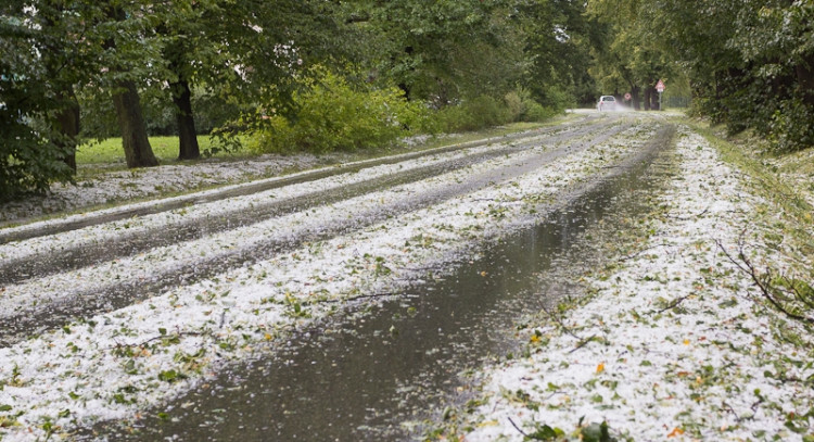 Plavská. Foto David Louženský