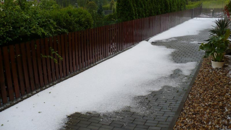 Suché Vrbné. Foto Andrea Stöhrová