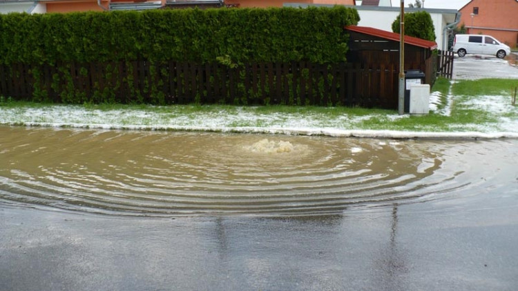 Suché Vrbné. Foto Andrea Stöhrová