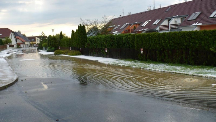 Suché Vrbné. Foto Andrea Stöhrová