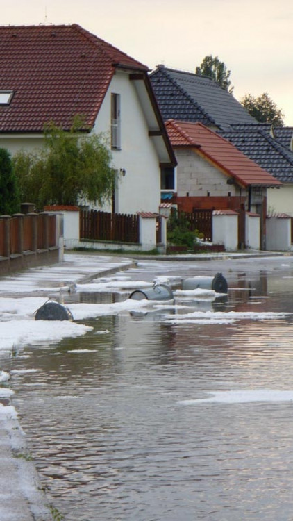 Suché Vrbné. Foto Andrea Stöhrová