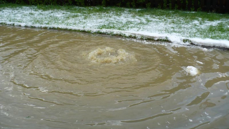 Suché Vrbné. Foto Andrea Stöhrová