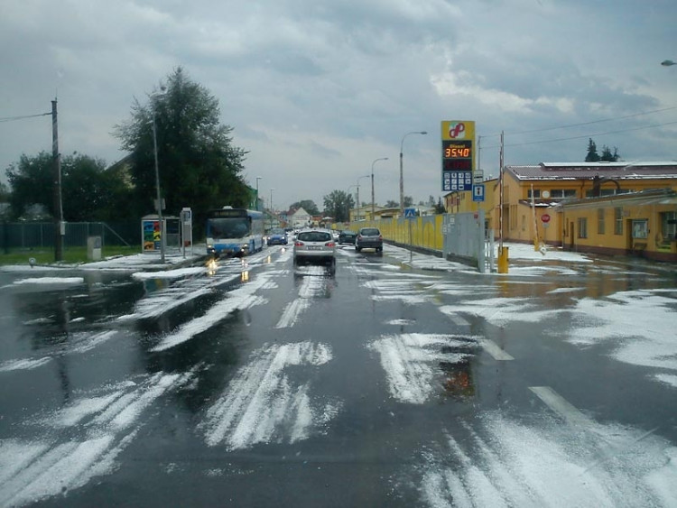 U Dopravního podniku. Foto Theresa