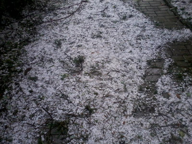 Foto Eva Matlachová