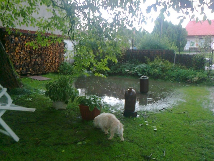 Drahotěšice. Foto Renata Muglová