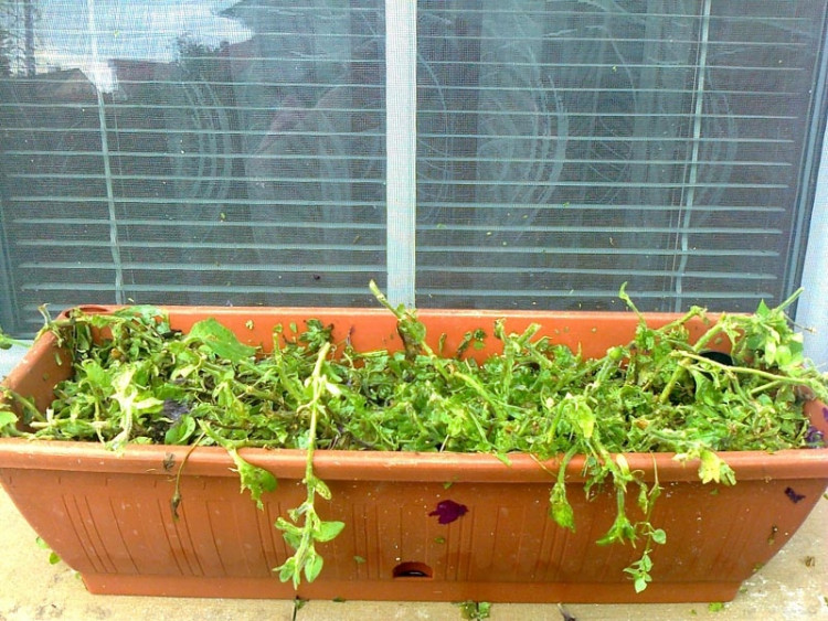 Drahotěšice. Foto Renata Muglová