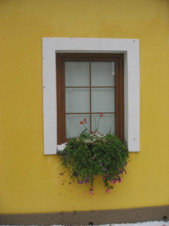 Následky krupobití. Foto Pedro Smouky