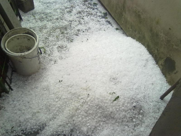 Foto Kikina Matlachová