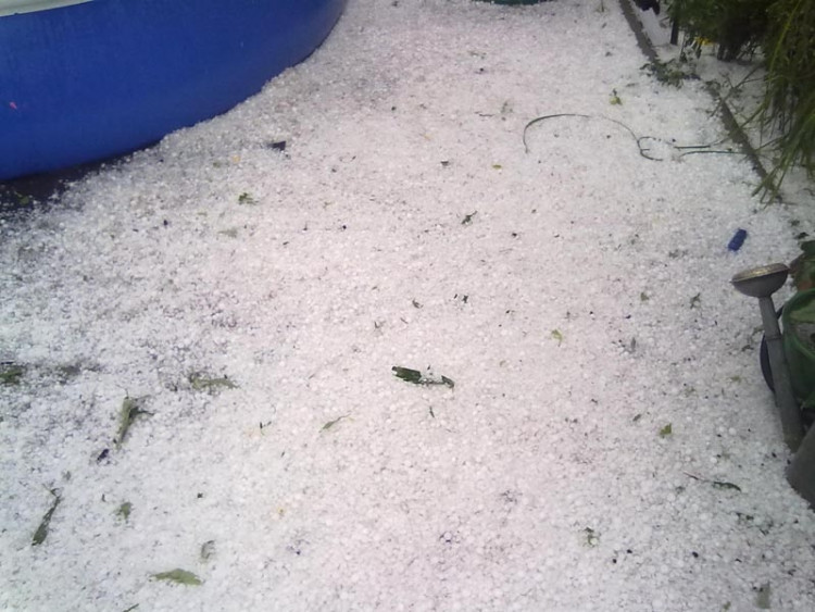 Foto Kikina Matlachová