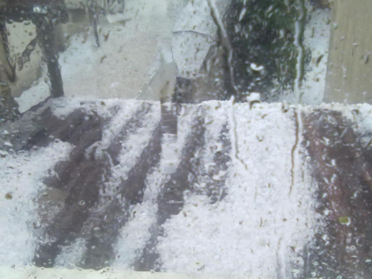 Foto Kikina Matlachová