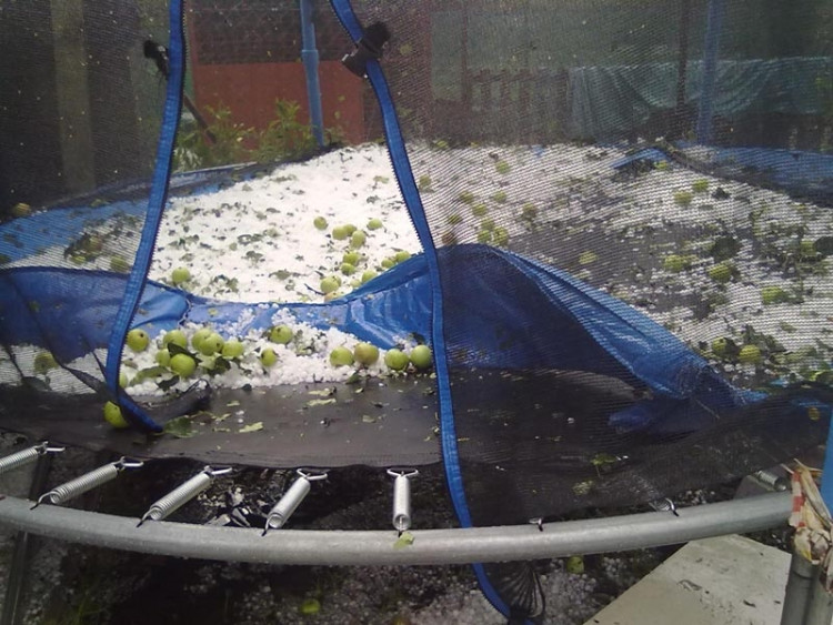 Foto Kikina Matlachová