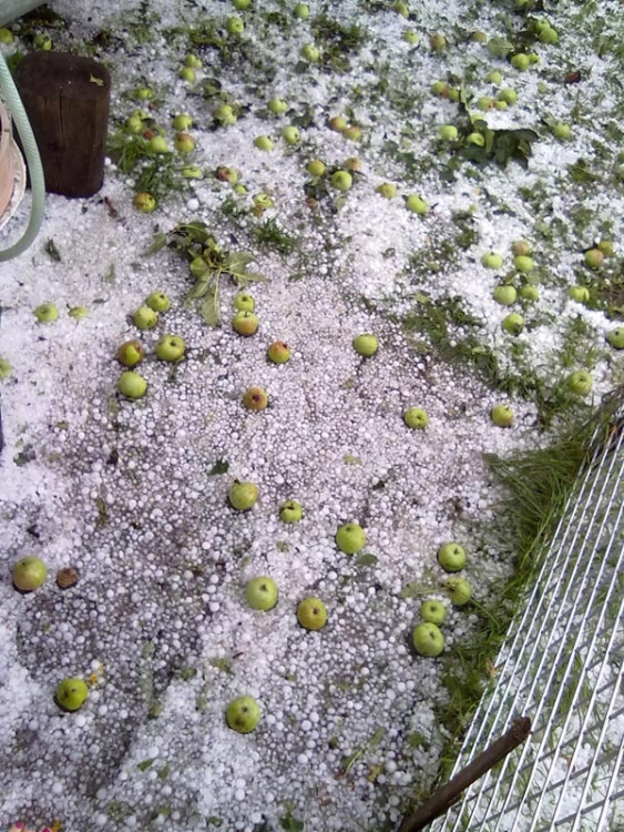 Foto Kikina Matlachová