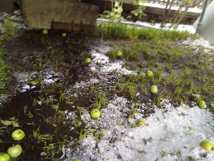 Foto Kikina Matlachová