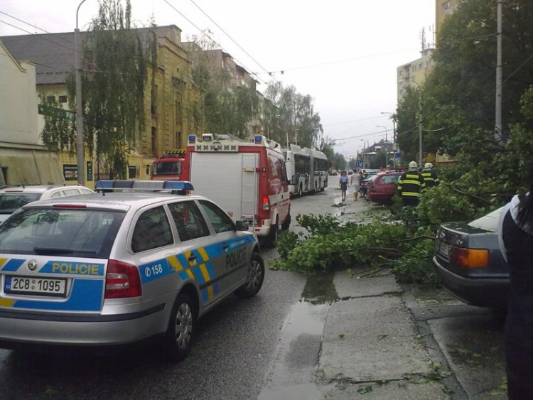 Lidická. Foto Opicak85