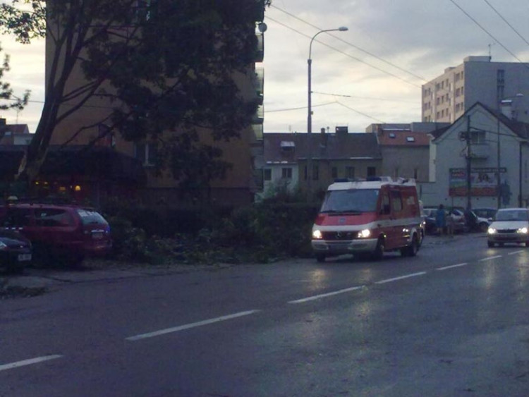 Lidická. Foto Opicak85