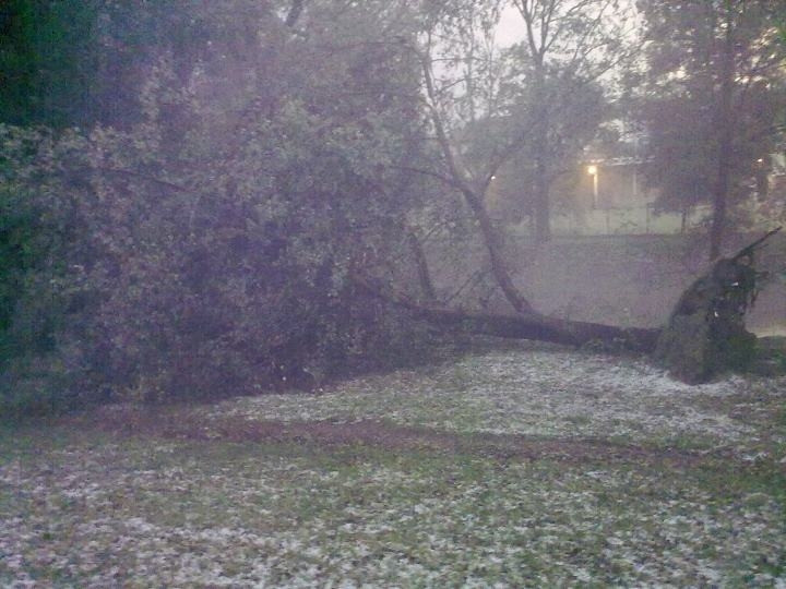 U Malého jezu. Foto Opicak85