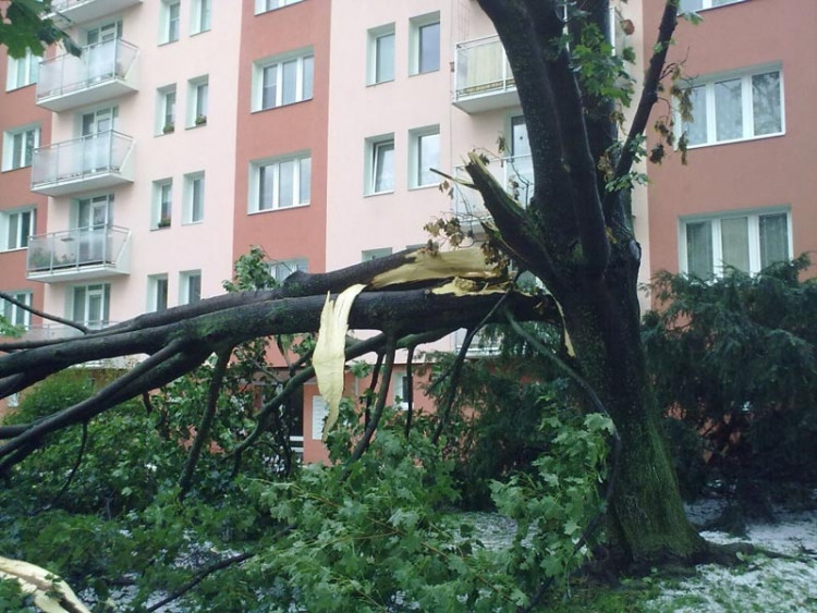 Lidická. Foto Opicak85