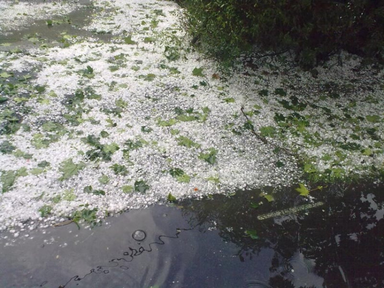 Lidická. Foto Opicak85