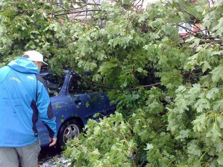 Lidická. Foto Opicak85