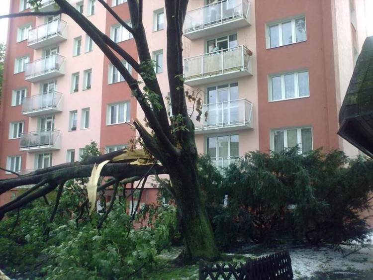 Lidická. Foto Opicak85