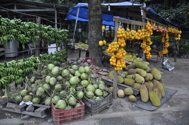 Trh s ovocem mezi Riem a Sao Paulem