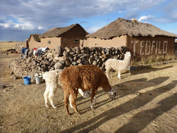 Malá farma na altiplanu