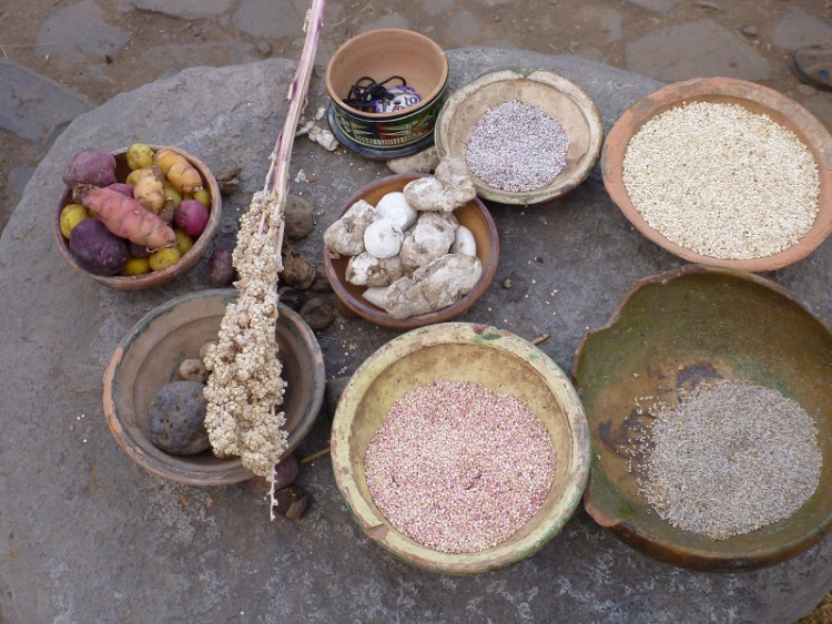 Plodiny - quinua, zanahoria andina, dehydrované brambory -chuňo