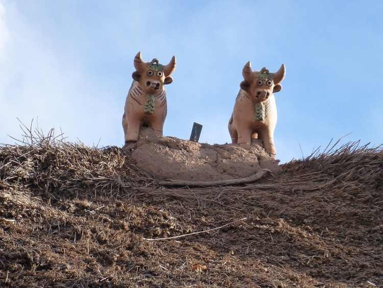 Symbol štastného domova