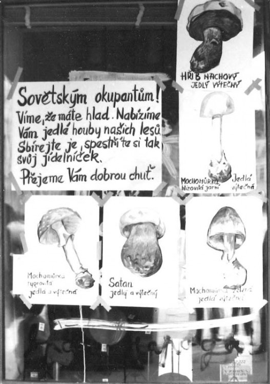 Náměstí Přemysla Otakara II. Foto Karel Svoboda