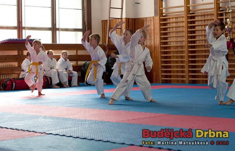 Nábor dětí do přípravky TJ Karate České Budějovice