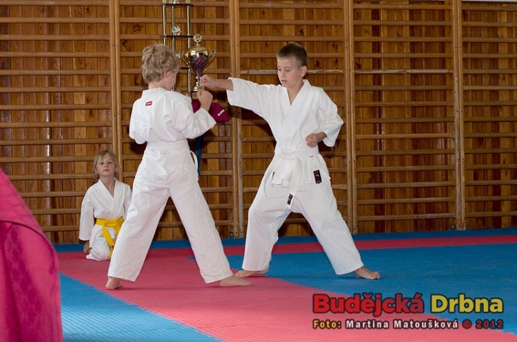 Nábor dětí do přípravky TJ Karate České Budějovice