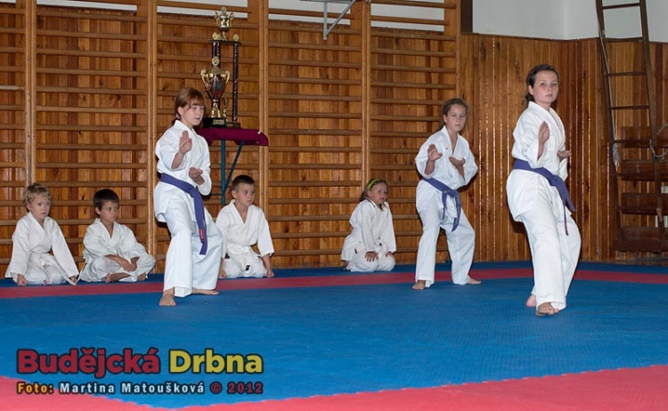 Nábor dětí do přípravky TJ Karate České Budějovice
