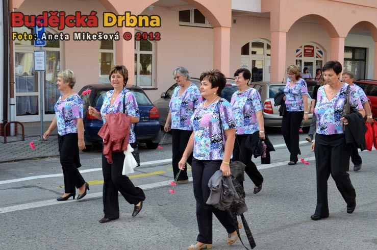 Slavnosti vína v Hluboké nad Vltavou