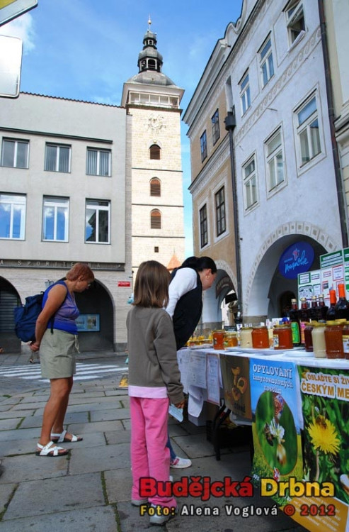 Stánky s medem lákaly pozornost dětí i dospělých