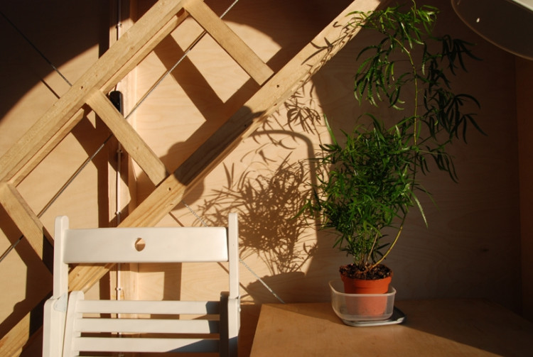 Minimální dům na náměstí Přemysla Otakara II. Foto Mjölk architekti