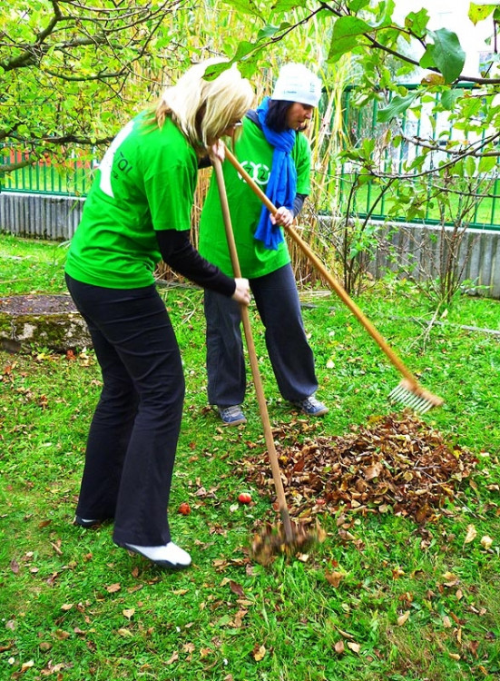 Projekt 72 hodin na Základní škole Máj I.