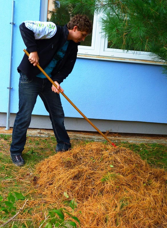 Projekt 72 hodin na Základní škole Máj I.