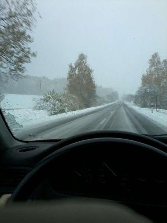 Cesta z Budějc do Vimperku. Foto Jana Voříšková